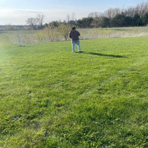 Lil Huddy (Explicit)