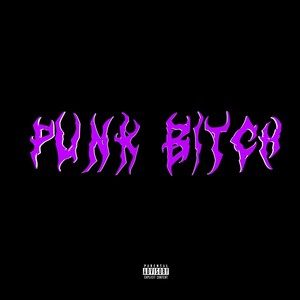 PUNK ***** (feat. BRYCE ISSAC) [Explicit]