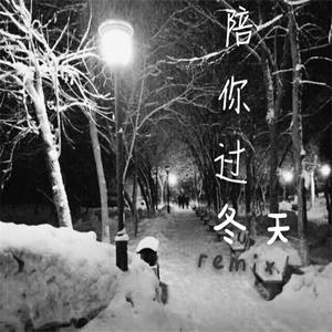 陪你过冬天 (Remix)