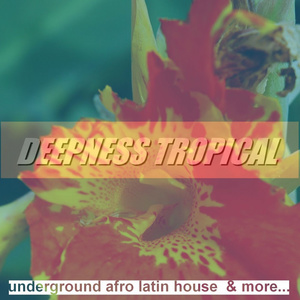 Woman (House Dub)