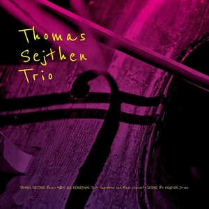 Thomas Sejthen Trio