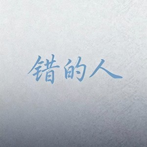 错的人 (摇滚版)