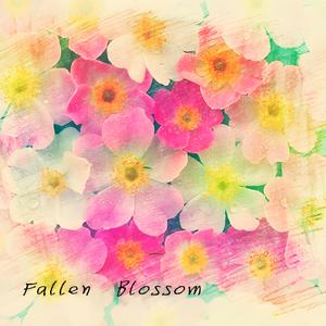 Fallen Blossom