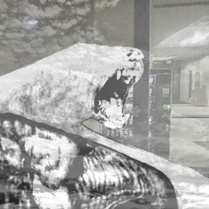 Loser (feat. Hanoj) (Explicit)