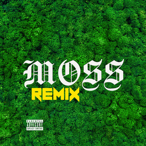 Moss (Remix) [Explicit]