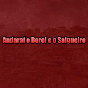 Andaraí o Borel e o Salgueiro