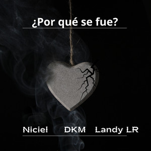 ¿Por qué se fue?