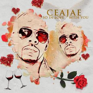 SO IN LOVE WITH YOU REMIX (feat. PILLA AND DA MAD TWEEKA) (Special Version)