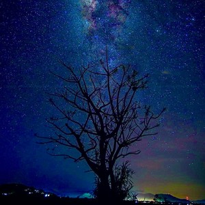 1 janvier 2022 / Cette vie que tu mènes (Explicit)