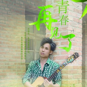 再见了青春 (伴奏)