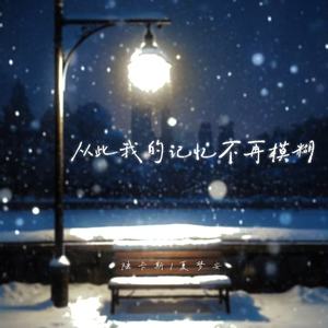 从此我的记忆不再模糊