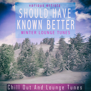 Should Have Known Better - Winter Lounge Tunes