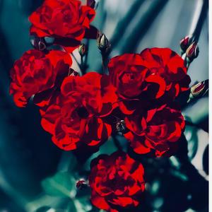 A Fool In Love (feat. Oddy, DJ HiGHER LvL & J FLACKO|Explicit)