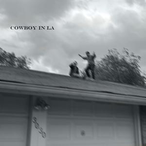 Cowboy in LA