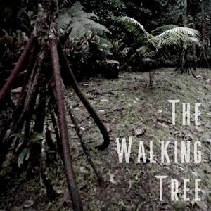 The Walking Tree
