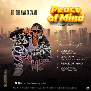 Peace of Mind EP (Explicit)