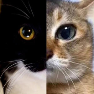 I Love You (Explicit)