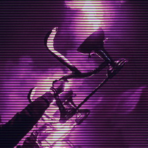 Cooking With Bass (Explicit)