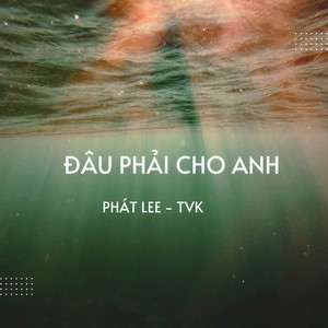Đâu Phải Cho Anh (Remix)