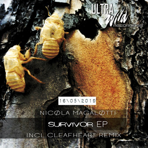 Survivor (Cleafheart remix)