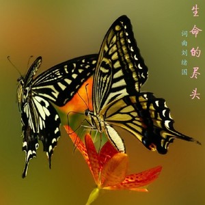 生命的尽头 (女高音激情版)