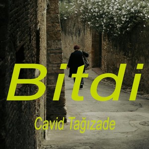 Bitdi