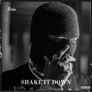 Shake it down (feat. Duke)