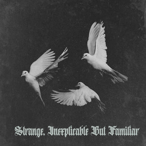 Strange, Inexplicable But Familiar (Explicit)