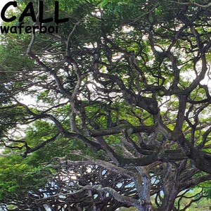 Call
