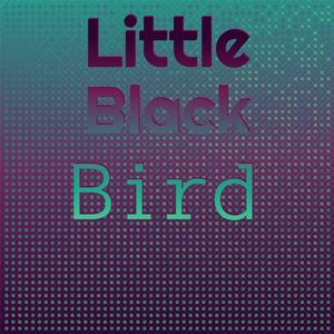 Little Black Bird