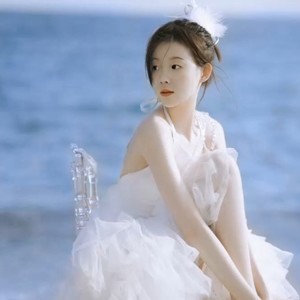 你是我心内的一首歌