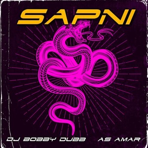Sapni [feat. As Amar] (Dubb Mix)