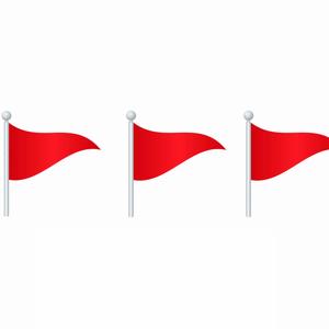 Red Flags (feat. Remedy4Ej)