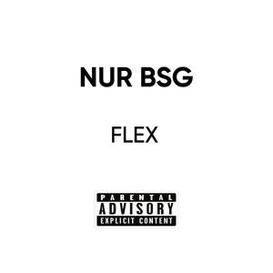 FLEX (Explicit)
