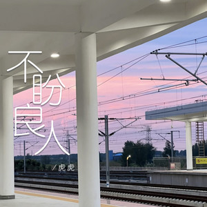 不盼良人 (DJ光波版)封面