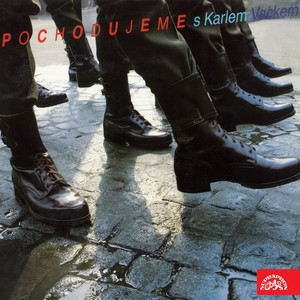 Zůstaň Tu S Námi, Muziko Česká!