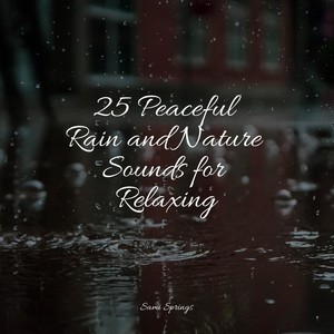 25 Peaceful Rain and Nature Sounds for Relaxing