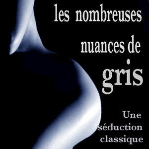 Les Nombreuses Nuances De Gris