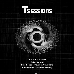 T Sessions 11