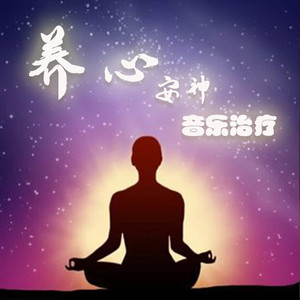 音药丨强心肾养气血丨五音调和，音药上品，炎炎夏日，一曲清凉 (DJ长音频)封面