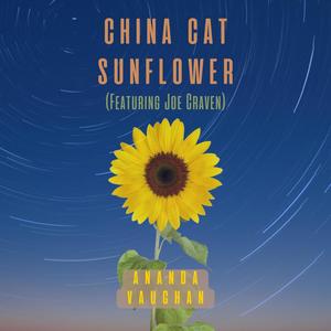 China Cat Sunflower (feat. Joe Craven)