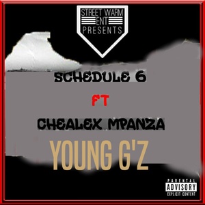 Schedule 6 (Explicit)