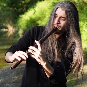 Anastasia: Once Upon a December (Low Whistle Cover)