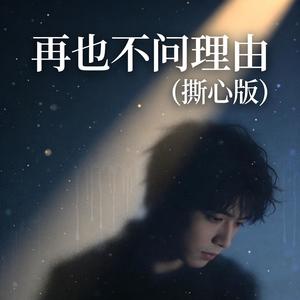 再也不问理由 (撕心版)
