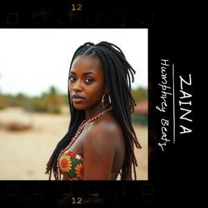 Zaina (feat. Rafik Addi & Vyb Daddy)