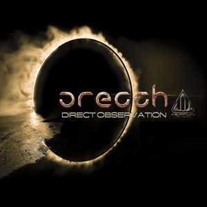 Direct Observation (Original Mix)