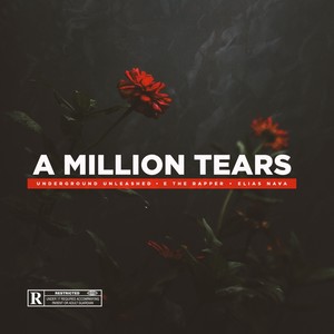 A Million Tears (Slowed and Chopped) (Explicit)