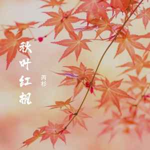 秋叶红枫 (伴奏)