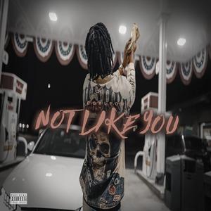 Not Like You (feat. MojoBeatz) (Explicit)