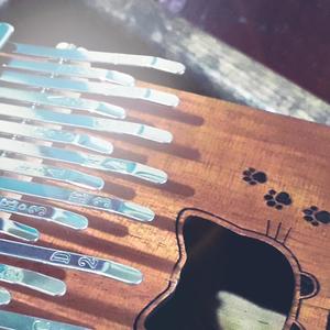 Kalimba in Snow